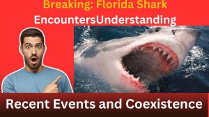 Breaking: Florida Shark EncountersUnderstanding Recent Events and Coexistence