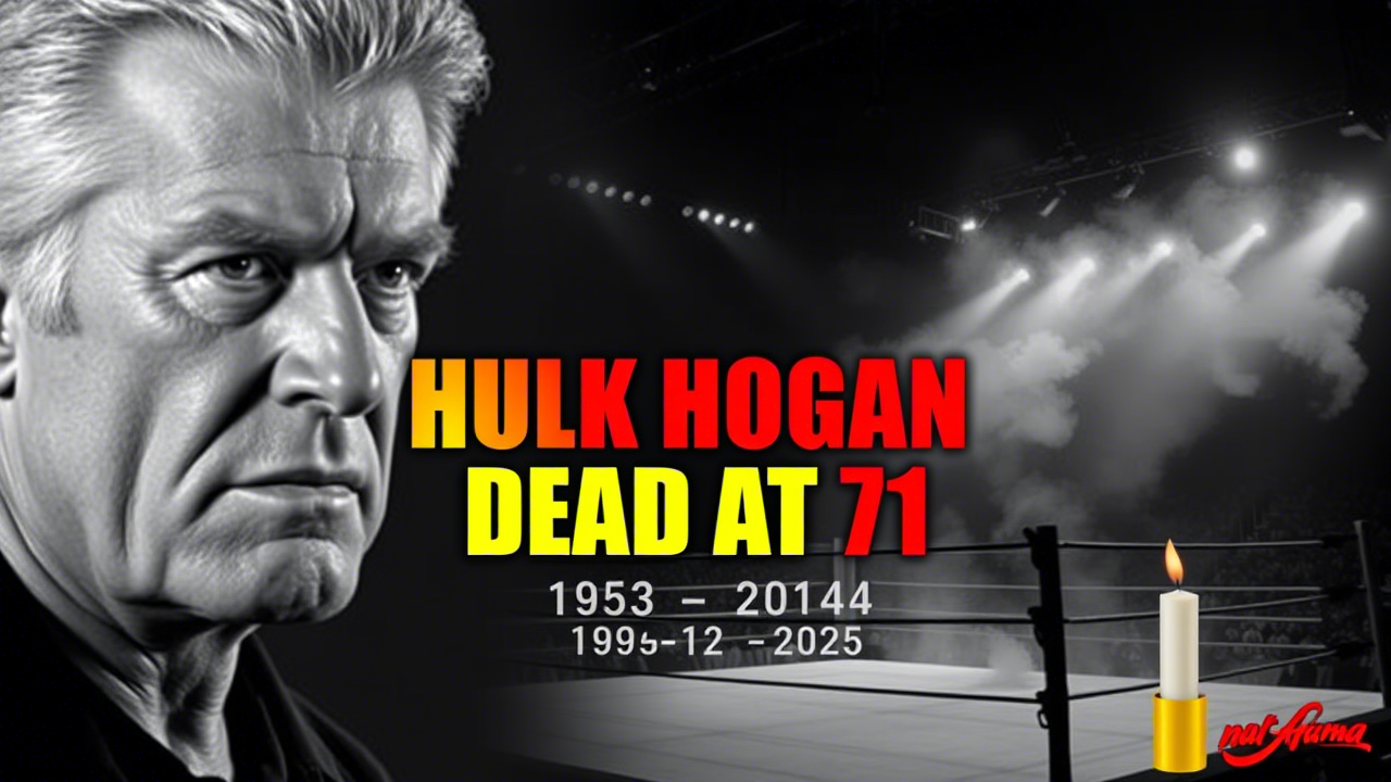 Expert Insights and In-Depth Analysis Following Google’s Latest Updates on Hulk Hogan’s Death