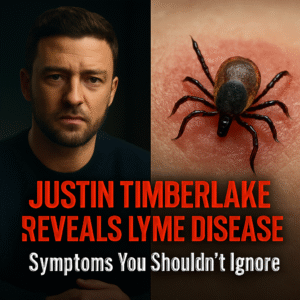 Breaking: Justin Timberlake’s Lyme Disease Battle Puts Spotlight on Silent Epidemic
