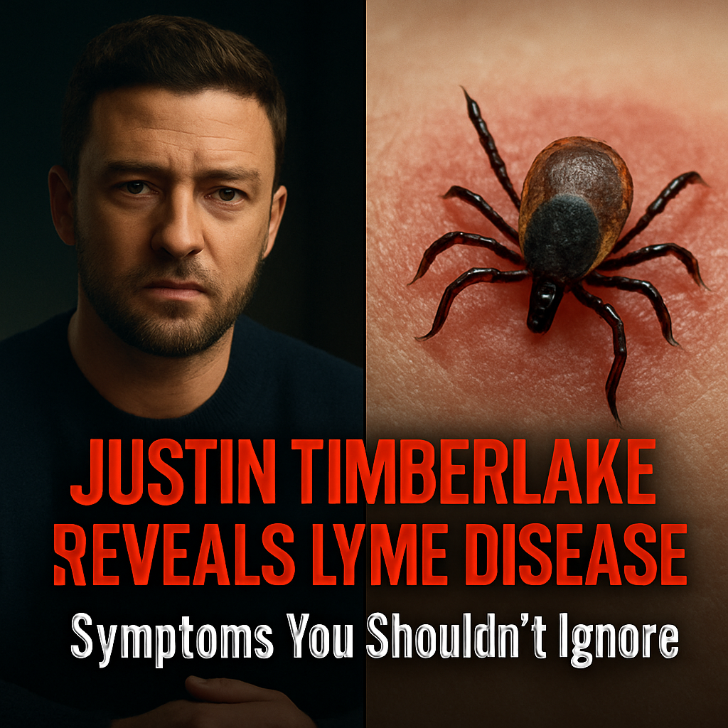 Breaking Justin Timberlake’s Lyme Disease Battle Puts Spotlight on Silent Epidemic